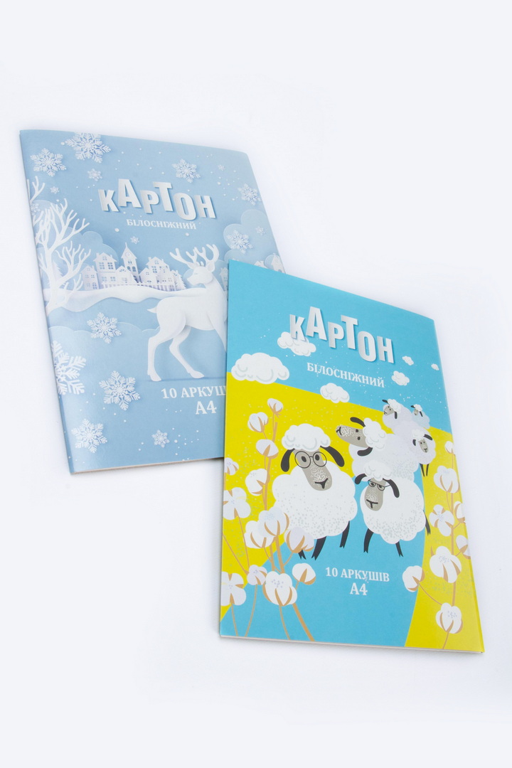 Картон білий, А4, 10 аркушів, в папці, 250 г/м2, двосторонній